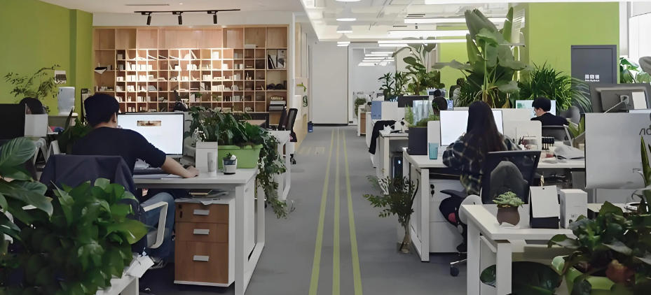 上川岛好茶有限公司轮播图1